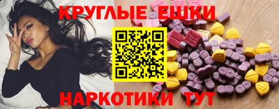 трава Сланцы