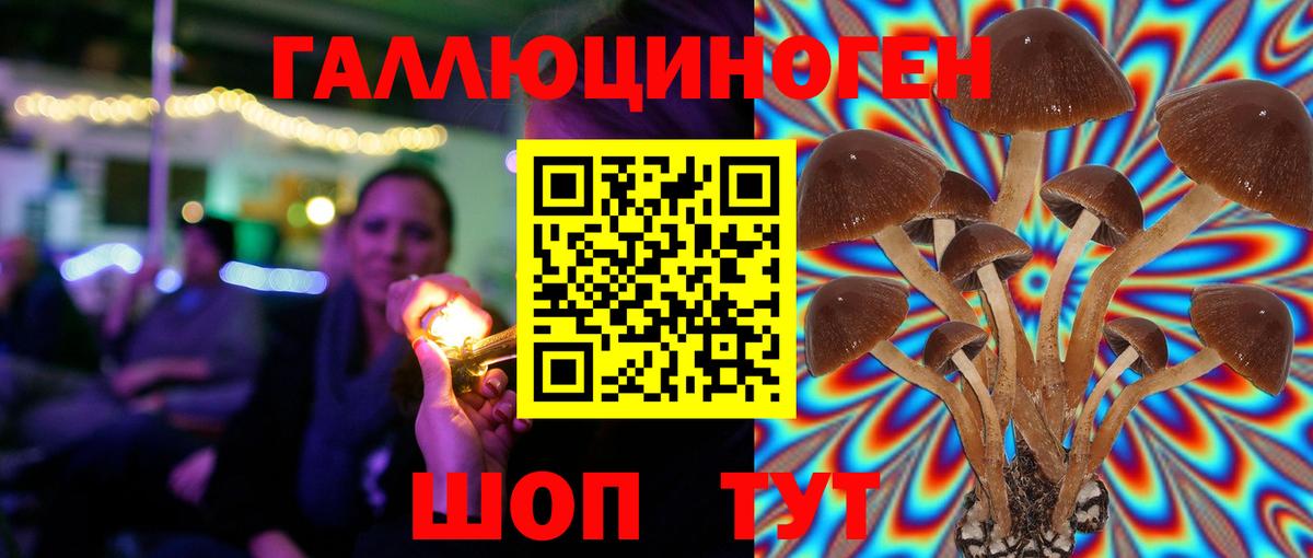 Нижний Тагил  Псилоцибиновые грибы мицелий  Вход с VPN  Псилоцибиновые грибы GOLDEN TEACHER 