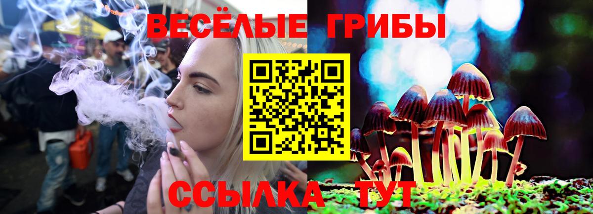 Галлюциногенные грибы мухоморы Нижний Тагил